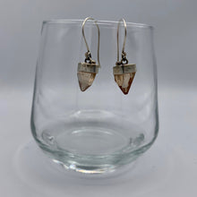 Load image into Gallery viewer, Topaz Earrings